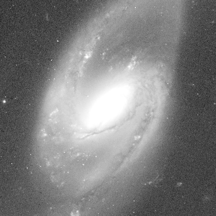 Arp 70 galaxy before denoising, 1:1 crop