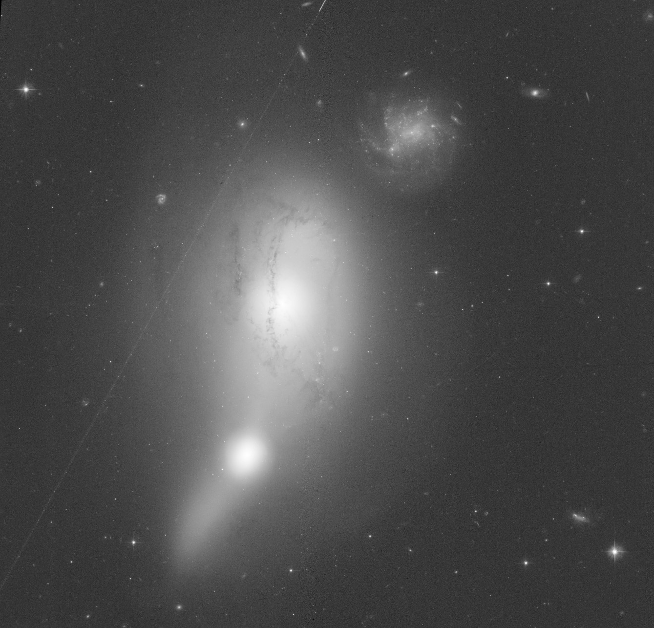 Arp 176 linear input before denoising